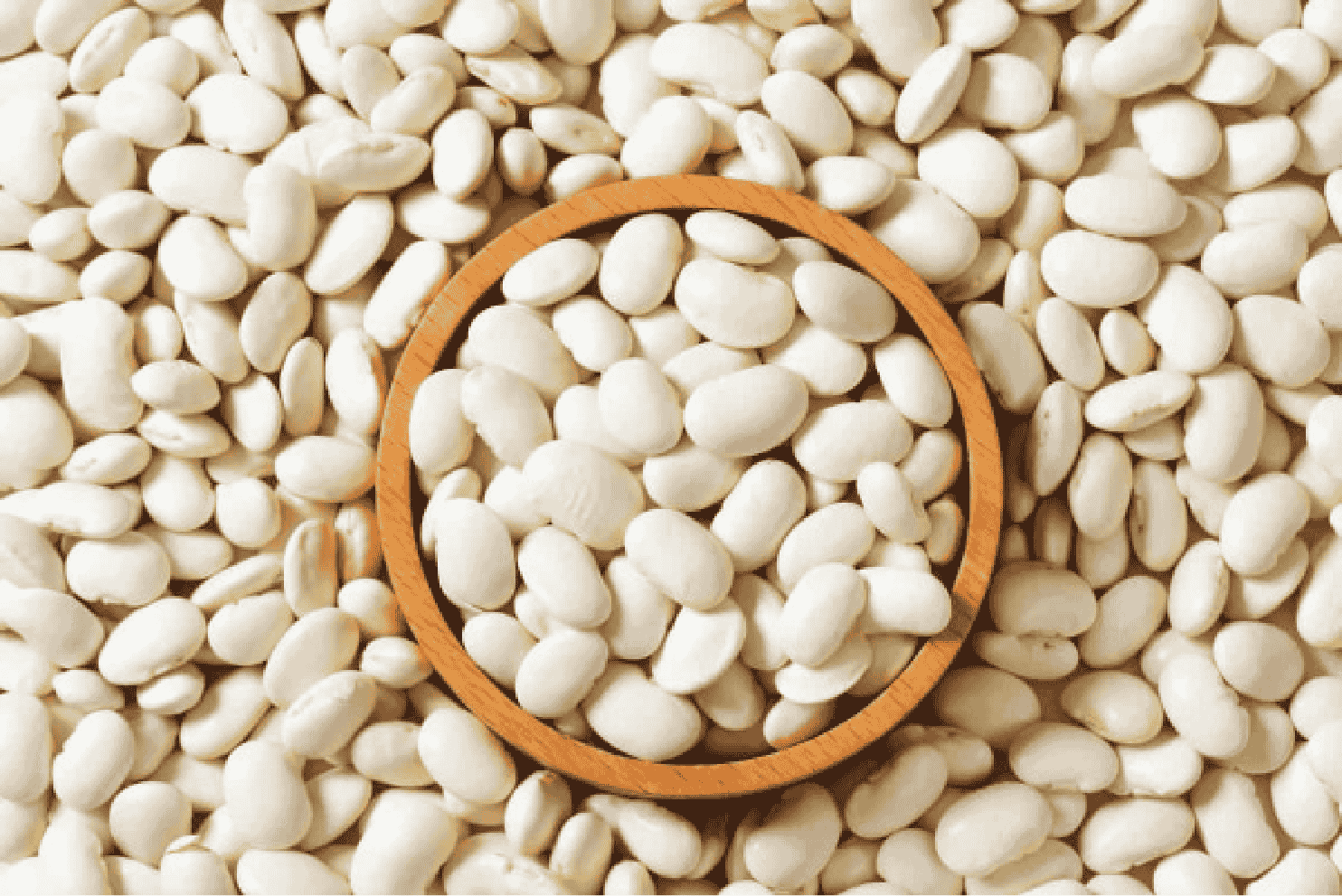 WHITE PEA BEANS Image