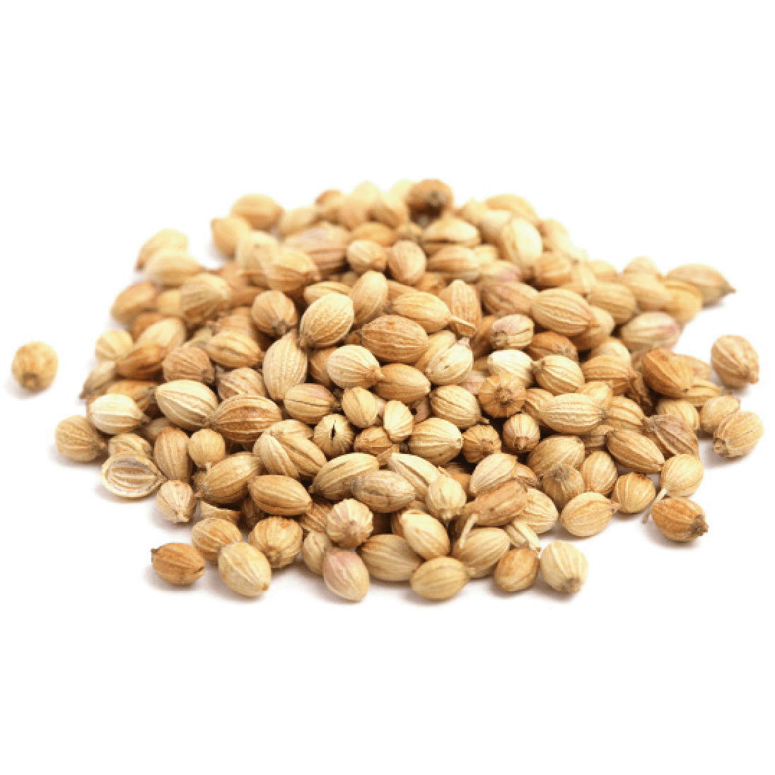 Coriander seeds Image