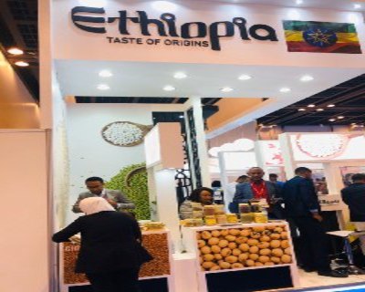 Ethiopian Test Of Origins Image