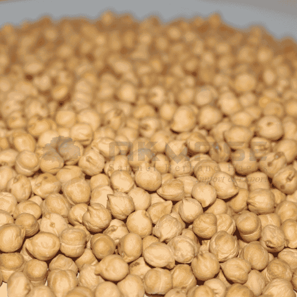 Kabuli Chickpeas Image