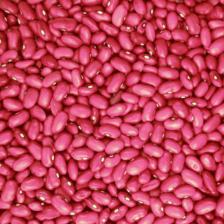 Red Kidney Beans Image